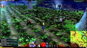 Windows® xp service pack 2 or better. Guild Wars 2 Gameplay 1080p System Requirements Fail Frame Rate Youtube