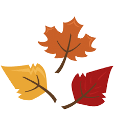 Pin On Svg