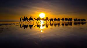 Support us by sharing the content, upvoting wallpapers on the page or sending your own. Wallpaper Camel People Silhouette Lake Sunset 1920x1080 Full Hd 2k Picture Image