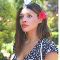 700+ "Lerma" profiles