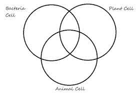 Plant and animal cells have several differences and similarities. Badge 2 The Good The Bad And The Unique Diversity Of Living Things Challenges