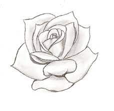 Rose Tattoo Stencil Designs Rose Tattoo Stencil Roses Drawing Drawing Rose