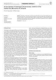 Image result for Saintpauliopsis lebrunii