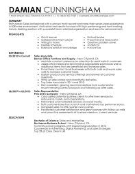 professional sales resume examples
