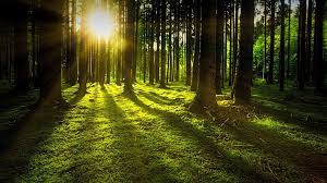 6 hour relaxing piano music: Musicas Relaxantes Music To Relax Home Facebook