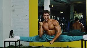 Image result for Van Damme split
