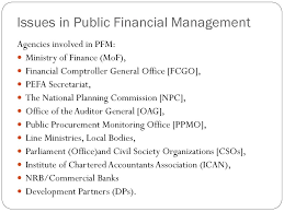 Traduzione di public financial management in italiano. Public Financial Management Environment Ppt Download