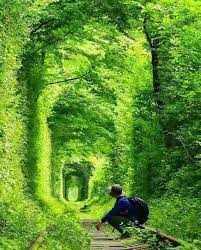 Please add to it, or discuss it at the etymology scriptorium.) 烏克蘭. ä¹Œå…‹å…°æ™¯ç‚¹ Backpackers Travel Tips èƒŒåŒ…æ—…æ¸¸ Facebook