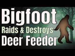 Bigfoot Raids And Destroys Deer Feeder Retired Couple Unaware They Were Feeding A Bigfoot Youtube Deer Feeders Bigfoot Raid