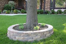 My Best Friend Craig Retaining Wall Around A Tree Garden Ideas Around A Tree Landscaping Around Trees Landscaping With Rocks