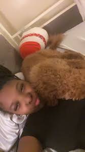 Black short hair with white chest and stomach missing