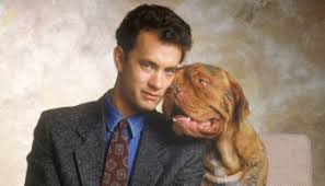 Turner & hooch, an original series, starts streaming july 21 on #disneyplus. Turner Hooch Reboot Series For Disney To Begin Production Very Soon Chip And Company