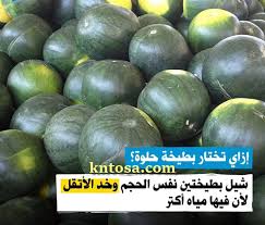 بالصور كيف تعرف البطيخ الناضج بنفسك حتي لا يخدعك إزاى تعرف البطيخة حمرا ولا قرعة بدون معلم Fruit Avocado