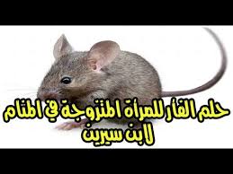 حلم الفأر للمرأة المتزوجة في المنام لابن سيرين Youtube