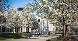 View businesses, restaurants, and shopping in. 7 Best Things To Do In Coldwater Mi