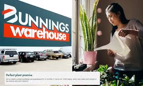 Moroday 915 x 60mm silver mds11 hinged door seal. The Little Known Trick At Bunnings That Allows Shoppers To Trade In Their Dead Flowers For New Ones Daily Mail Online
