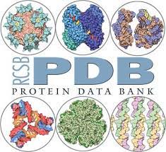 Biologists and biochemists from around the world send in the data. The Evolution Of The Rcsb Protein Data Bank Website Bourne 2011 Wires Computational Molecular Science Wiley Online Library
