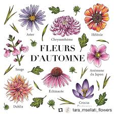We did not find results for: Sodif Vive Les Fleurs De Saison Joli Calendrier De Fleurs De Saison Realise Par Tara Msellati Flowers Et L Illustratrice Cmickhan Fleursdesaison Automne Illustration Fleursfrancaises Collectifdelafleurfrancaise Weloveflowers Facebook