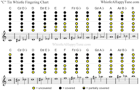 Pin On Penny Whistle Music Resources