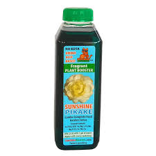 Image result for Sclerochiton hirsutus