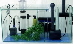 Sump Nasil Yapilir Sump Nedir Sump Ne Ise Yarar Akvaryum Bitkileri Ve Baliklari