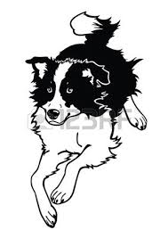 Black And White Collie Dog Clipart Running Dog Border Collie Black And White Vector Image Isolated On White Background Border Collie Art Border Collie Dog Border Collie