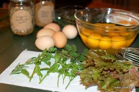 The moisture lost from the egg should equate to roughly 13% of the eggs' weight before hatching. Our Favorite Egg Bake Recipe For Chickens Backyard Poultry