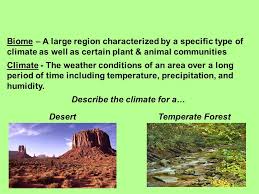 biomes what is a biome if an organism is the simplest level