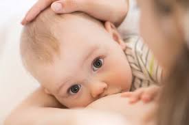 The Benefits Of Breastmilk Happy Family Organics