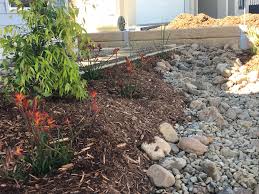 Dry River Bed In Native Garden Design Landscaping North Brisbane Native Garden Garden Design Landscape Services