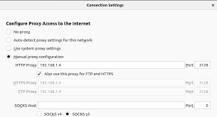 This will require the ip address of the proxy server and its port. Install And Configure Squid Proxy Server On Debian 10 Buster Linux Hint