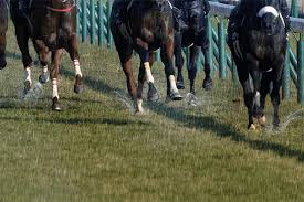 Search the world's information, including webpages, images, videos and more. ç¦å³¶ç‰é¦¬s ã‚­ãƒ¬ã‚‹è„šã‚ˆã‚Šã‚¿ãƒ•ã•ãŒéµ ä¸Šä½äººæ°—é¦¬2é ­ã®è€ƒå¯Ÿ ç«¶é¦¬ãƒ˜ãƒƒãƒ‰ãƒ©ã‚¤ãƒ³
