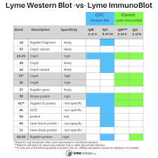 Lyme Sci Paving The Way For Better Lyme Diagnostic Tests
