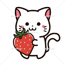 白猫 画像 かわいい (381 無料写真)