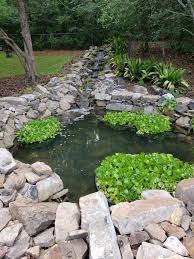 These pond algae eaters will help control harmful algae and leave your pond looking clean and an overabundance of algae is the bane of all pond enthusiasts. Spring Pond Cleaning Macon Ponds