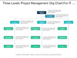 Three Levels Project Management Org Chart For It Company