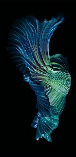 Pin By Iyan Sofyan On Abstract Amoled Liquid Gradient Fish Wallpaper Betta Fish Siamese Fighting Fish
