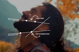 Facebook Twitter Pinterest Share This Image On Your Site You Are 10 Simple Steps Away From Your Complete Beardover Beard Shapes Beard Line Trimming Your Beard
