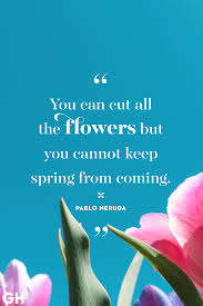 20 Happy Spring Quotes Sayings About Spring And Flowers
