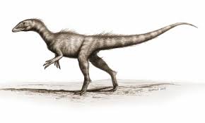 Plus your entire music library on all your devices. Welsh Dinosaur Bones Confirmed As New Jurassic Species Dinosaurs The Guardian