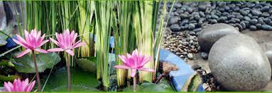 Things to do near hbs evergreen tours sdn bhd. Green Hub Sdn Bhd Makes Life Green