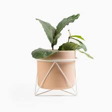 Eric Trine Octahedron Ring Planter White On Garmentory In 2020 Planters Eric Trine Octahedron