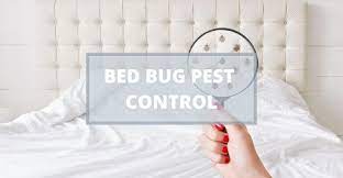 The bed bug sleep defense system is designed to give you peace of mind to sleep well without having to replace expensive bedding. What Is The Best Pest Control Company For Bed Bugs Blog