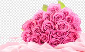 Bouquet of pink roses on a white background. Pink Flower Pink Flowers Bouquet Png Transparent Png 1025x626 270683 Png Image Pngjoy