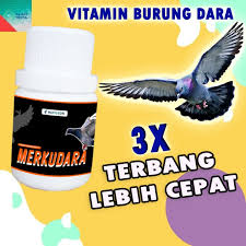 Pastikan kebutuhan ternak dapat anda terpenuhi. Suplemen Makanan Pakan Burung Merpati Multivitamin Burung Dara Merpati Balap Merkudara Icat Labs Shopee Indonesia
