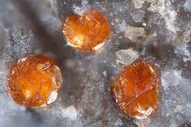 Add a little dinosaur discovery to your utah itinerary. Page All Minerals Andersonite Ansermetite Azurite Barnesite Braitschite Ce Calciodelrioite Carnotite Chalcedony Cobaltomenite Corvusite Ferroselite Hewettite Hughesite Martyite Metahewettite Metamunirite Metatyuyamunite Natrozippeite Pascoite