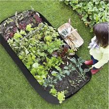 Maybe you would like to learn more about one of these? Vegetable Plants Bed Fabric Raised Planting Bed Home Solid Felt Garden 1pc Flower Grow Bag Buy At A Low Prices On Joom E Commerce Platform