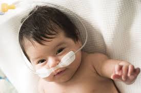 The Designers Institute of New Zealand