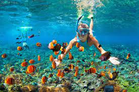 Best Snorkeling In The Caribbean Top 9 Islands Locations Best Snorkeling Snorkeling Best Resorts