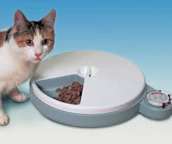 The cat mate c500 requires 3 x aa batteries (not supplied) which will give. 15 Of The Best Automatic Pet Feeders Reviews Buying Guide Petmoneysaver